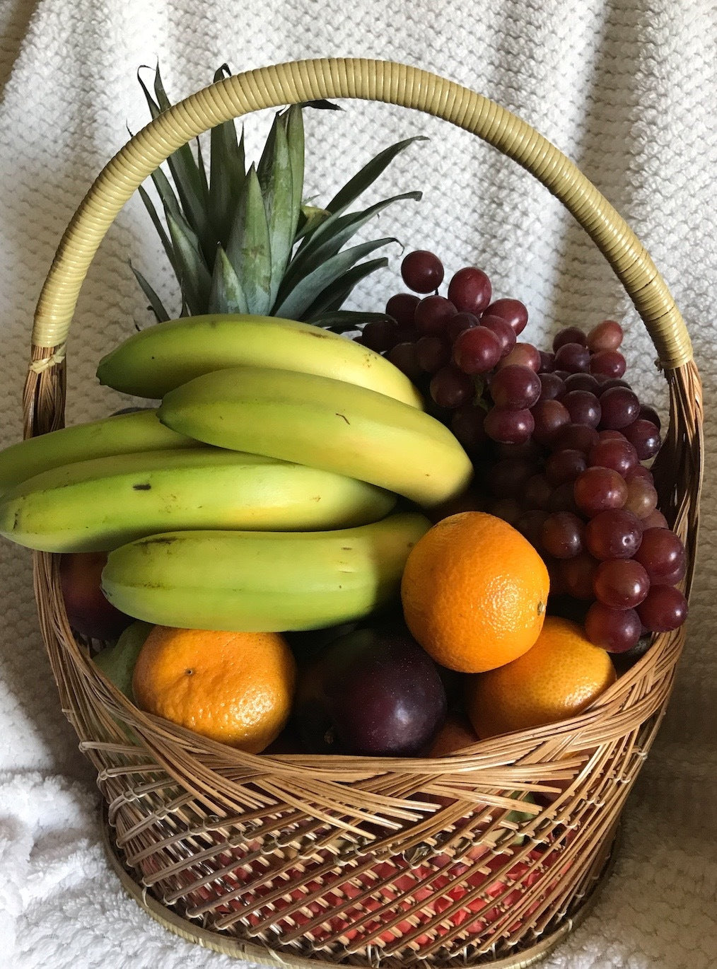 THE FRUIT BASKET (Small)